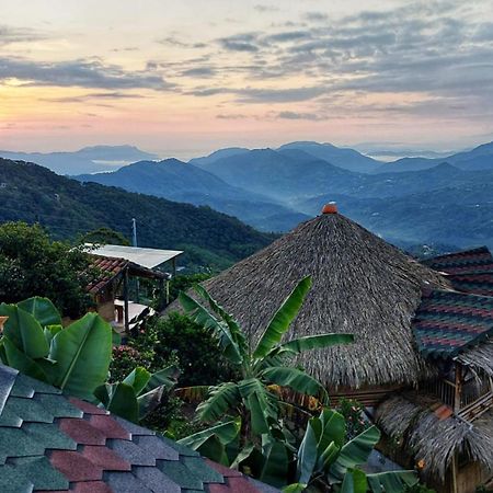 Ecohotel Soplo Del Tambo 코코르나 외부 사진