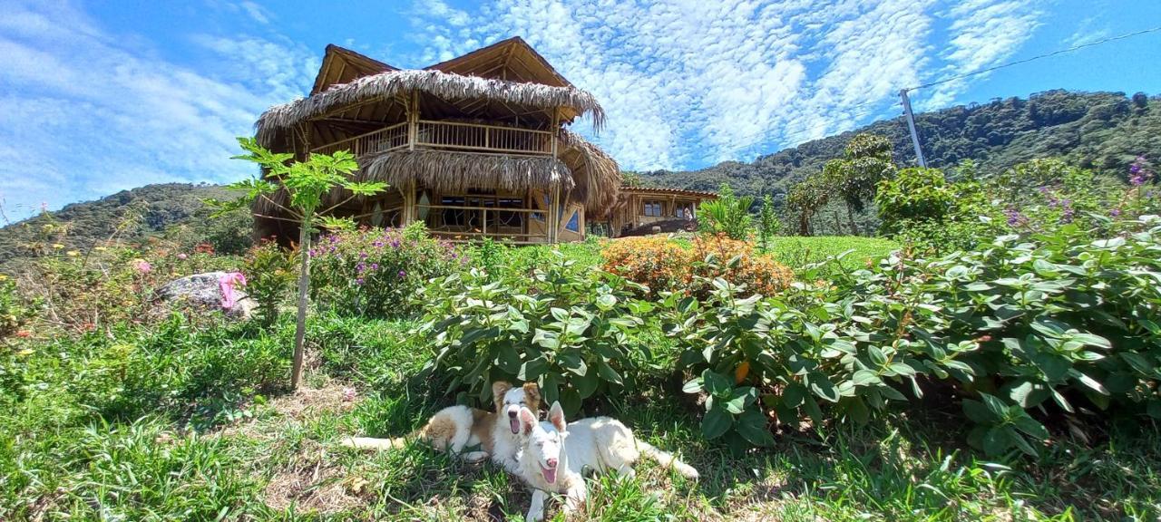 Ecohotel Soplo Del Tambo 코코르나 외부 사진