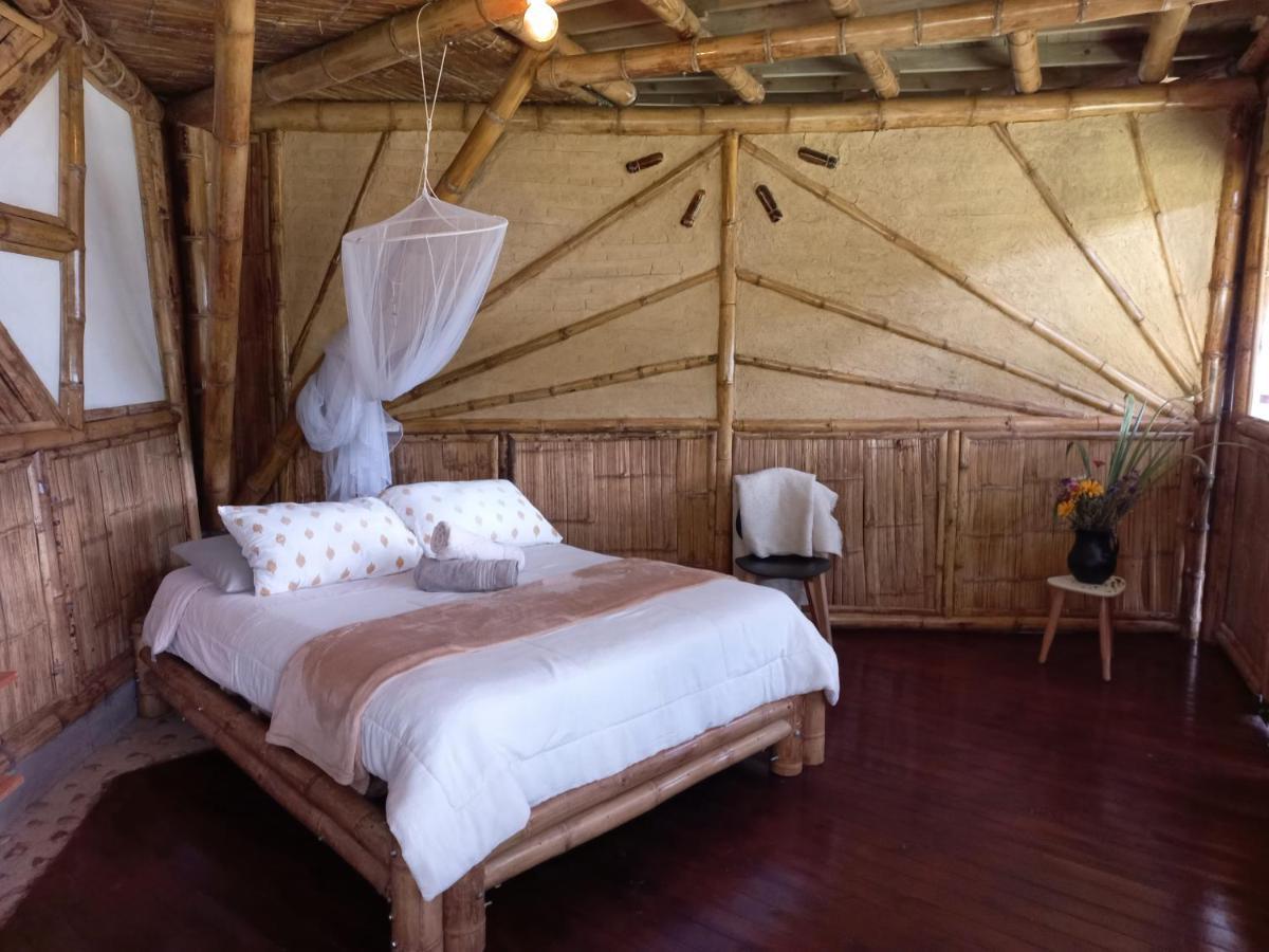 Ecohotel Soplo Del Tambo 코코르나 외부 사진