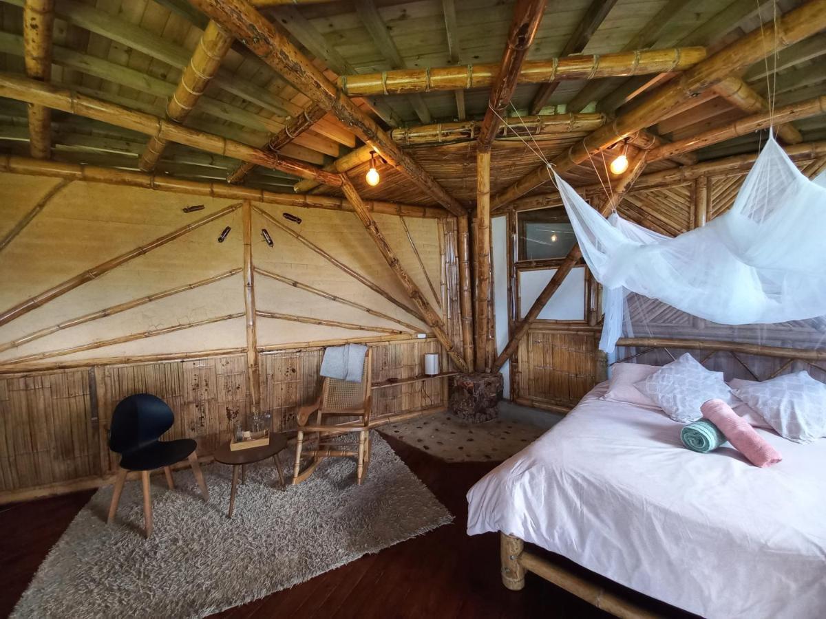 Ecohotel Soplo Del Tambo 코코르나 외부 사진