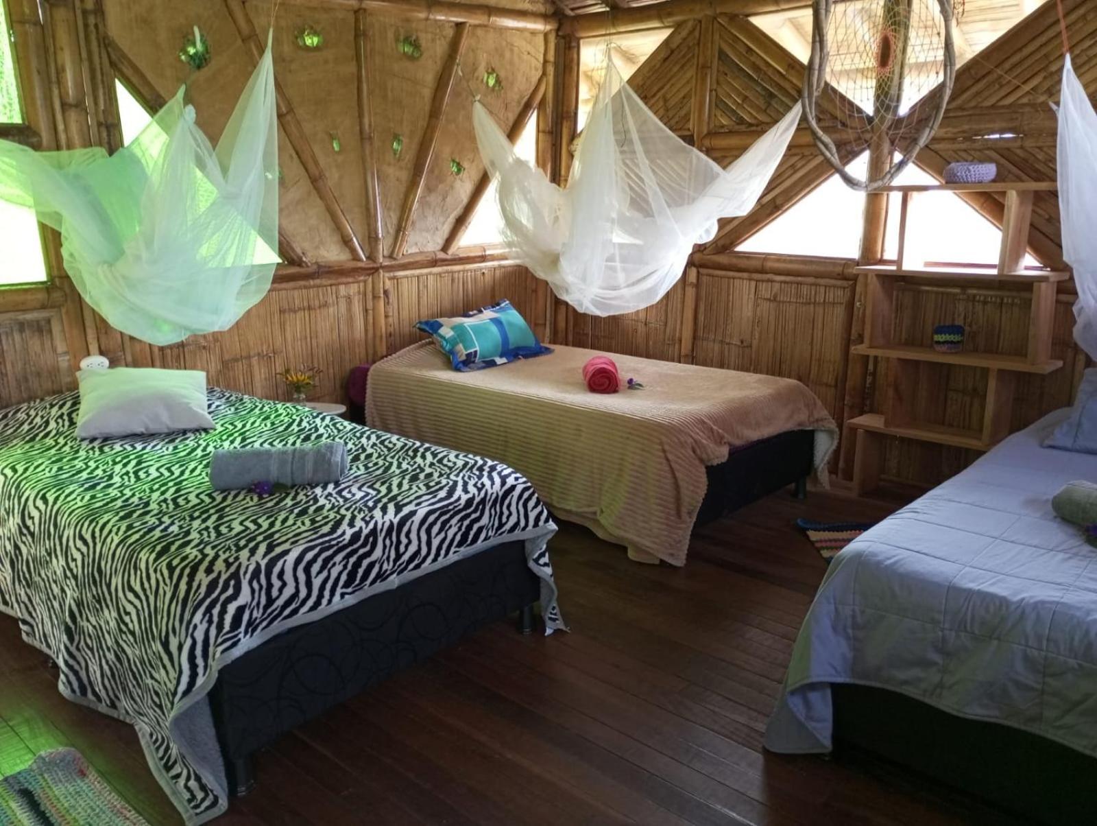 Ecohotel Soplo Del Tambo 코코르나 외부 사진